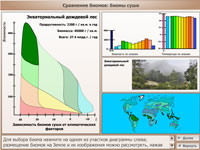 Сравнение биомов биомы суши